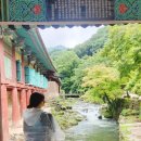[순천 여행] 순천 시티투어 산사투어 일정정리 (송광사,선암사,상사호, 예약안내) 내돈내산 솔직 추천 후기