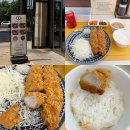 삼송제일약국 | 고양 삼송 돈까스 맛집 우애돈카츠 히레카츠 혼밥 먹고 온 후기