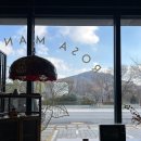 장미3단지경로당 | 장미맨숀 파주 쇼룸 │ 1인 소파 마가렛 암체어 구매 배송 후기