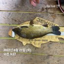 그린좌대1 낚시터 이미지