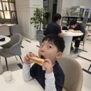 하키솔루션