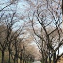 구례여행2