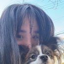 정월 | 신논현 애견동반 카페 정월 후기