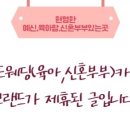 사락 이미지