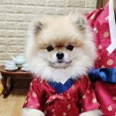 스무하루