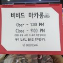 비비드마카롱 이미지