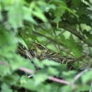 우연한발견 이미지