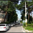 금곡동 소로1 이미지