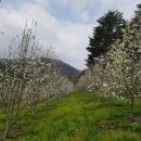 자운농장 이미지