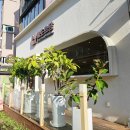 에또르팡 이미지