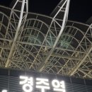 씨엘미니호텔 | 경주 숙소 추천] 씨엘미니호텔+짐캐리 후기