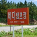 양양캠프장 네이버블로그