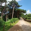 남한식당 이미지