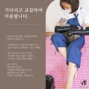 퍼(Furr)펙트그루밍 | 수원 무마취 고양이미용 교감 미용 추천 퍼펙트 그루밍 프리미엄 호텔 명절 뷰티샵 설날 추석 연휴 대체...