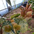 하경농장 이미지