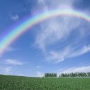 무지개모텔 이미지