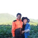 소야농장 이미지