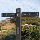 우이도 풍성사구(모래언덕) 이미지