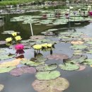 소리사랑 이미지