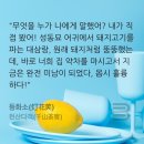 섬섬 이미지