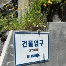해녀삼춘 | [제주 오리고기 맛집] 함덕 오리삼춘 후기