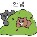 석희농장 이미지