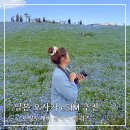 일본 오사카 eSIM 로밍도깨비 네이버 가정의달 세일 올데이 플러스무제한 데이터 후기