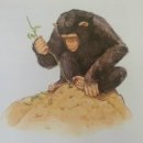 상상의문 이미지