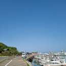 섬마을바다 이미지