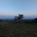 제주이즈 이미지
