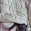 무주 유 참치생연어 이미지