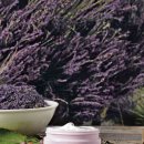 바디픽스 이미지