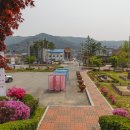 새삶 이미지