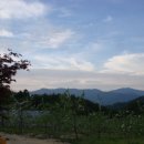 하늘아래첫농장 이미지