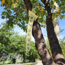 마교리마을회관 이미지