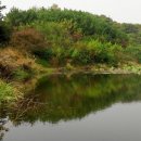 원관원제 이미지