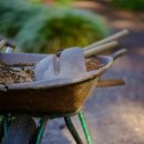 원예기능사 이미지