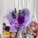 제이;나 플랜트 이미지