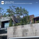 디나우스 이미지