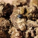 사구축산 이미지