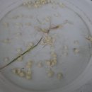 이종근 농장 이미지