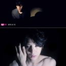 레오닷