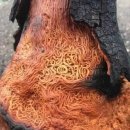 번개 PC방 이미지