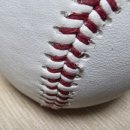 비타릴리스 이미지