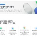 서일화성 | 2024 하반기 세메스 서류 및 인적성 합격 후기