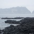 동해-단속-34 이미지