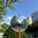 [제2기 서울시 환경보건센터 서포터즈] 서울시 환경보건센터 서포터즈 후기