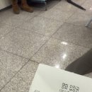 다가가다펜션A 이미지