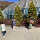 동천한증막 이미지