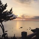 금해식당 이미지